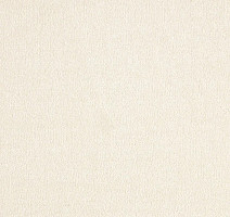 Ковролин AW Sentiment 33 фото 1 | FLOORDEALER